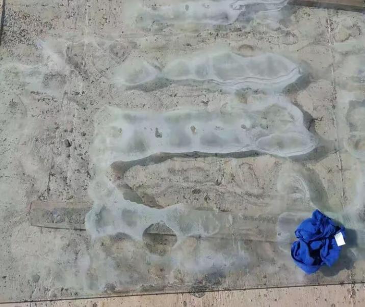 can-mold-grow-on-glass-1.jpg can-mold-grow-on-glass-1.jpg