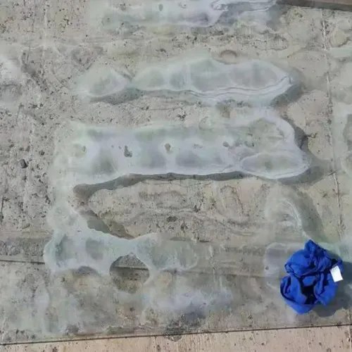 Can mold grow on glass