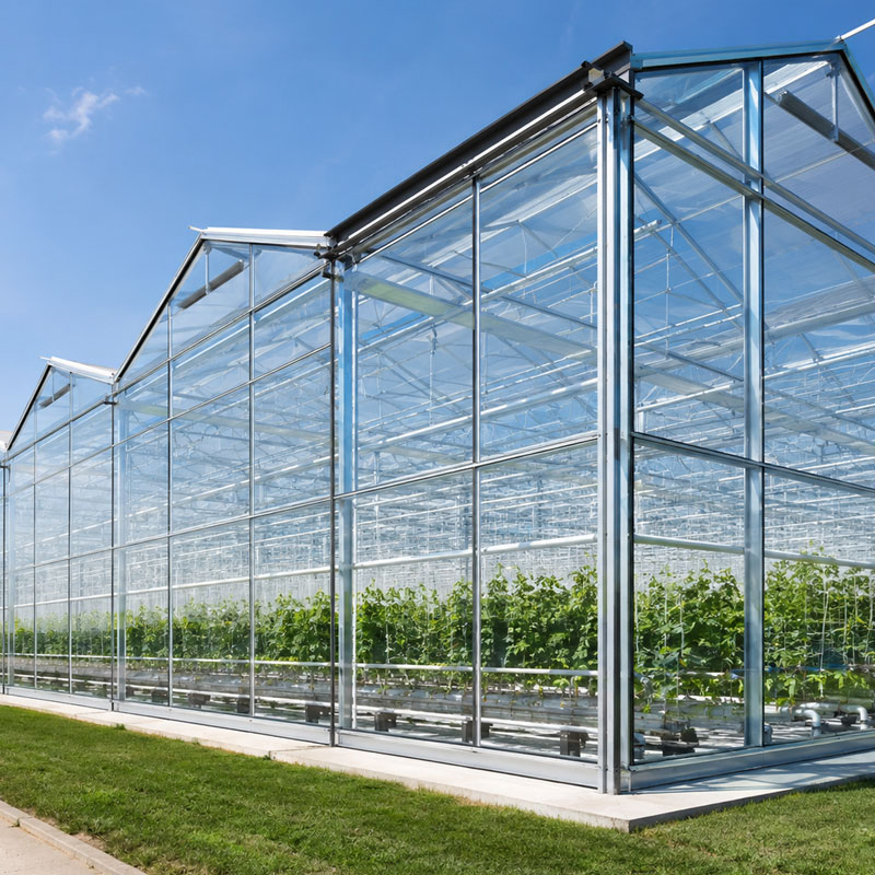 Greenhouse Glass Panels for Sale