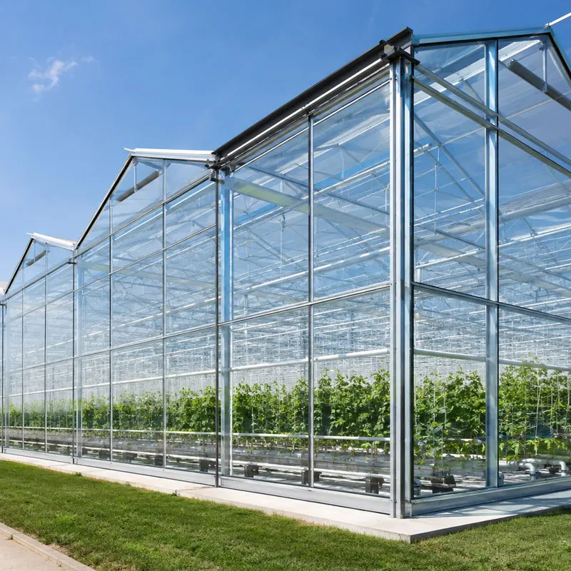 Greenhouse Glass Panels for Sale: How to Specify Thickness, Light Transmission and Shipping